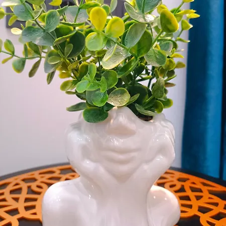 One Bedroom In Old Town Apartment *